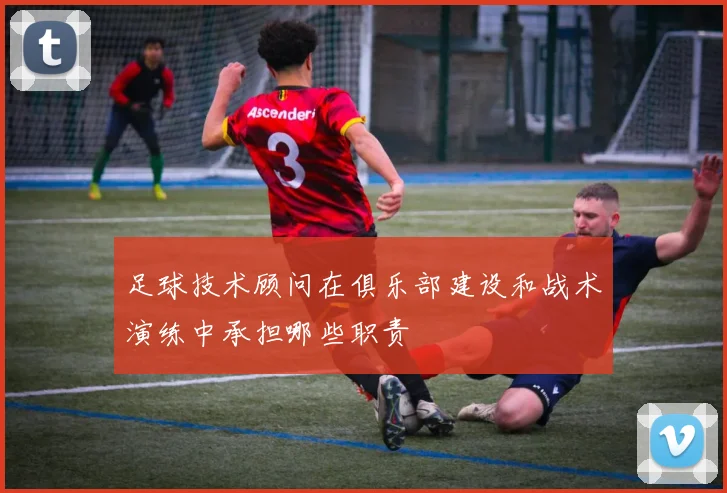 足球技术顾问在俱乐部建设和战术演练中承担哪些职责