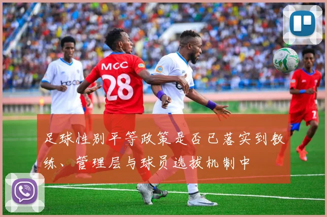 足球性别平等政策是否已落实到教练、管理层与球员选拔机制中